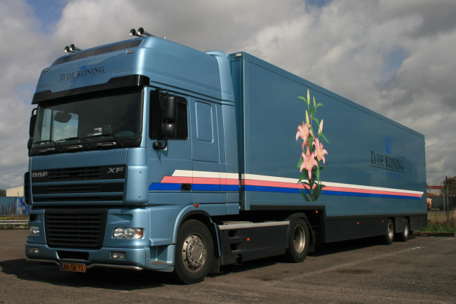 Обои картинки фото daf, автомобили, седельные, тягачи, trucks, nv, шасси, автобусы, нидерланды