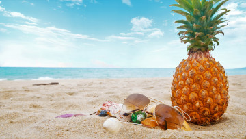 обоя еда, ананас, ракушки, очки, небо, море, пляж, песок