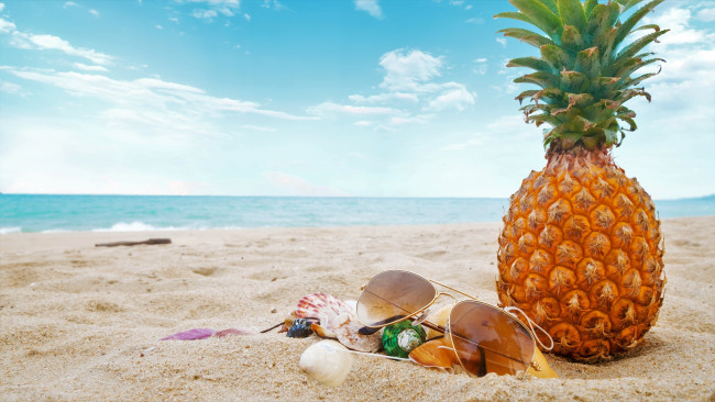 Обои картинки фото еда, ананас, ракушки, очки, небо, море, пляж, песок