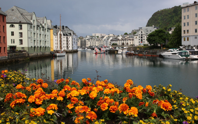 Обои картинки фото города, олесунн , норвегия, канал, дома, цветы