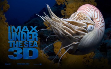 Картинка кино фильмы under the sea 3d