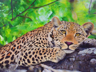 Картинка рисованные животные ягуары леопарды леопард