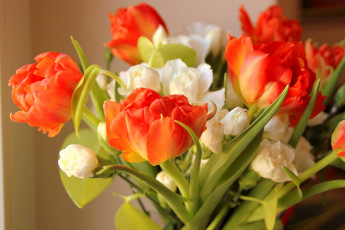 Картинка цветы букеты композиции гвоздика тюльпаны
