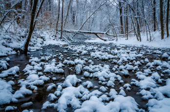 Картинка winton+woods +cincinnati +ohio природа зима лес река снег winton woods огайо cincinnati ohio деревья