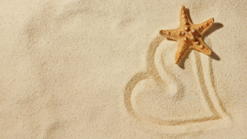 Картинка праздничные день+святого+валентина +сердечки +любовь сердце сердечко природа пляж любовь песок звезда