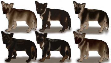 Картинка рисованное животные +собаки фон щенки