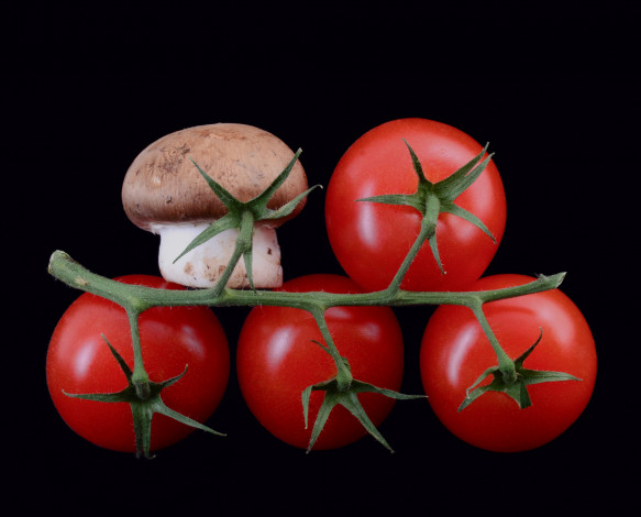 Обои картинки фото еда, помидоры, грибок, томаты, ветка