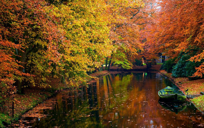 Обои картинки фото корабли, лодки,  шлюпки, пруд, лодка, листья, осень, деревья