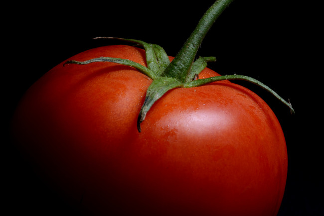 Обои картинки фото еда, помидоры, помидорка