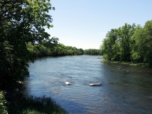 Картинка природа реки озера река лето деревья