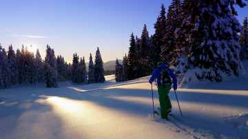 Картинка спорт лыжный+спорт снег деревья