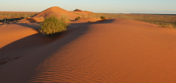 Картинка природа пустыни пустыня барханы песок