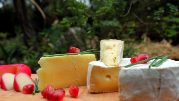 Картинка еда сырные+изделия ассорти сыр