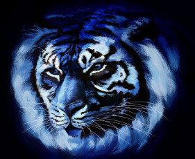 Картинка рисованное животные +тигры тигр голова
