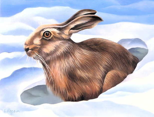 Обои картинки фото рисованное, животные,  зайцы,  кролики, заяц, снег