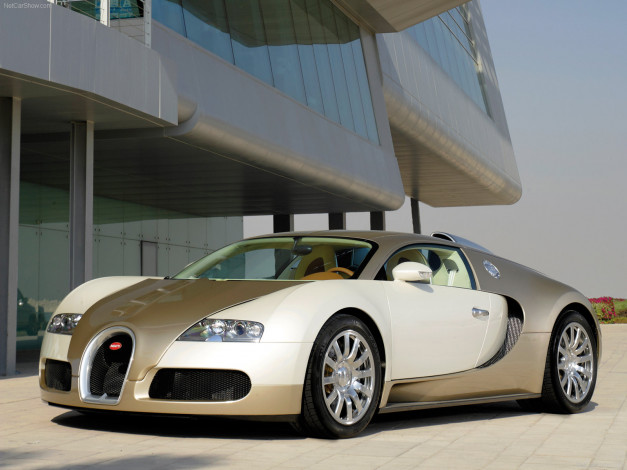 Обои картинки фото bugatti, veyron, 2009, автомобили