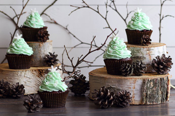 Картинка еда пирожные +кексы +печенье кексы крем зеленый сладкое десерт шишки веточки зима