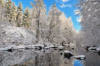 Картинка природа реки озера зима река деревья лес пейзаж