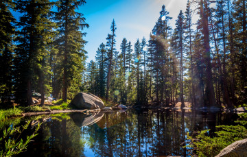 Картинка yosemite+national+park+california природа реки озера yosemite national park парк озеро лес