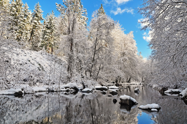 Обои картинки фото природа, реки, озера, зима, река, деревья, лес, пейзаж
