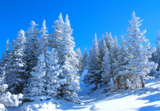 Картинка природа зима лес небо склон снег деревья