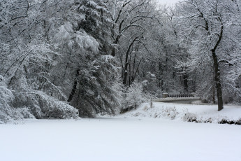 Картинка природа зима мостик снег деревья