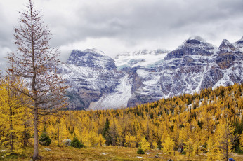 Картинка природа горы пейзаж осень снег деревья