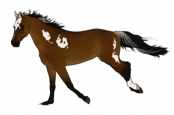 Картинка рисованное животные +лошади взгляд лошадь
