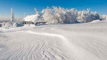 Картинка природа зима снег деревья дом