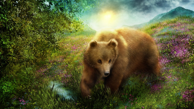 Обои картинки фото рисованное, животные,  медведи, медведь, природа, трава, мишка