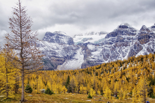 Обои картинки фото природа, горы, пейзаж, осень, снег, деревья