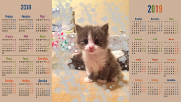 Картинка календари компьютерный+дизайн котенок взгляд
