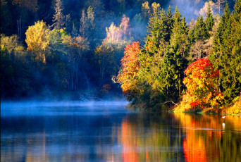 Картинка autumn природа реки озера осень лес река