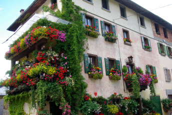 Картинка города здания дома цветы вазоны дом
