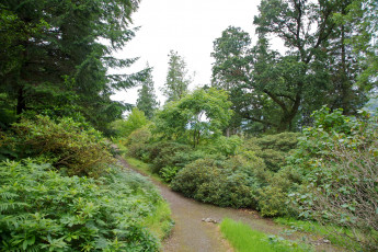 Картинка природа парк великобритания ardkinglas woodland gardens