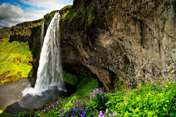 Картинка природа водопады цветы скала