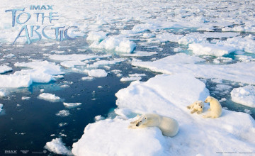 Картинка to the arctic 3d кино фильмы арктика белые медведи