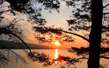 Картинка природа восходы закаты закат деревья река