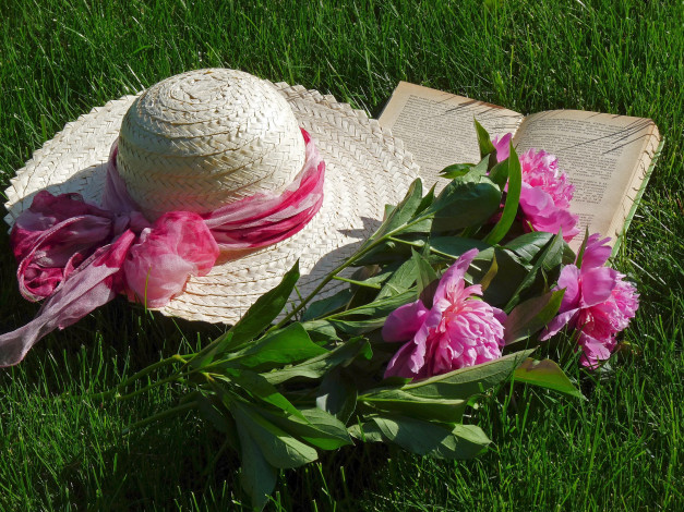 Обои картинки фото цветы, пионы, шляпка, книга