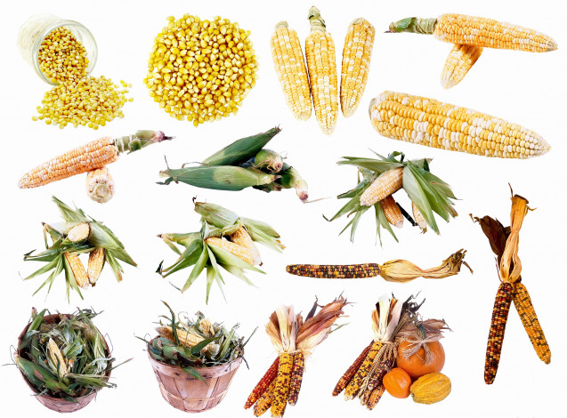 Обои картинки фото еда, кукуруза, кукураза