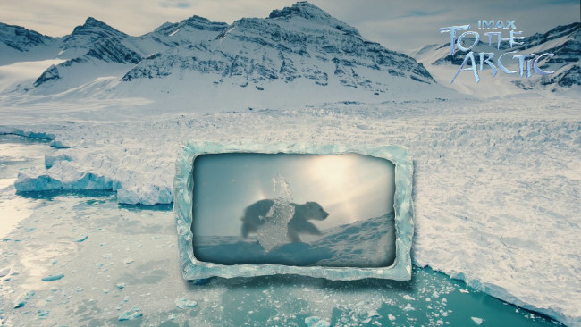 Обои картинки фото to, the, arctic, 3d, кино, фильмы, арктика, ледник, горы, медвежонок