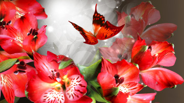 Картинка разное компьютерный+дизайн лепестки цветы коллаж бабочка открытка