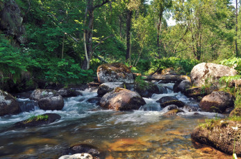 Картинка природа реки озера лес камни река