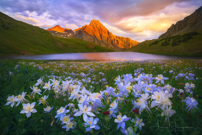 Обои картинки фото природа, пейзажи, цветы, озеро, горы