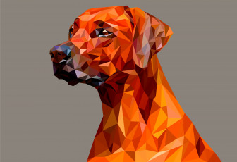 Картинка векторная+графика животные+ animals лес взгляд собака