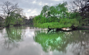 Картинка природа реки озера отражение