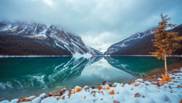 Картинка lake+louise banff+np alberta природа реки озера lake louise banff np