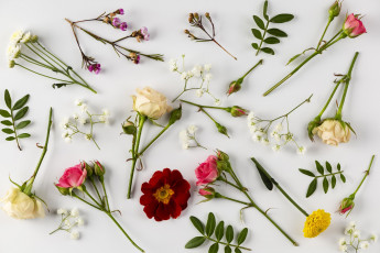 Картинка цветы разные+вместе розы бархатцы хризантемы