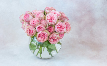 Картинка цветы розы бутоны букет