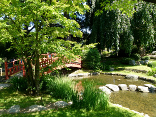 Картинка природа парк Японский сад альберта кана франция париж